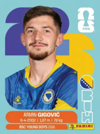 BIH10 Armin Gigovic