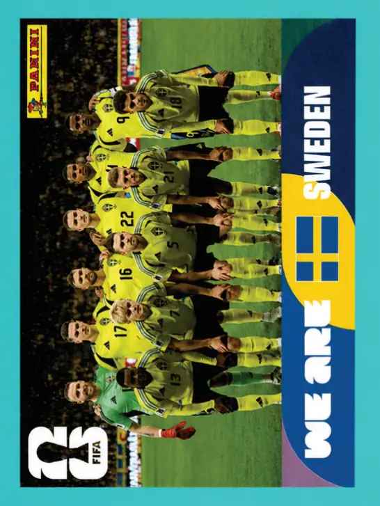 SWE13 We are