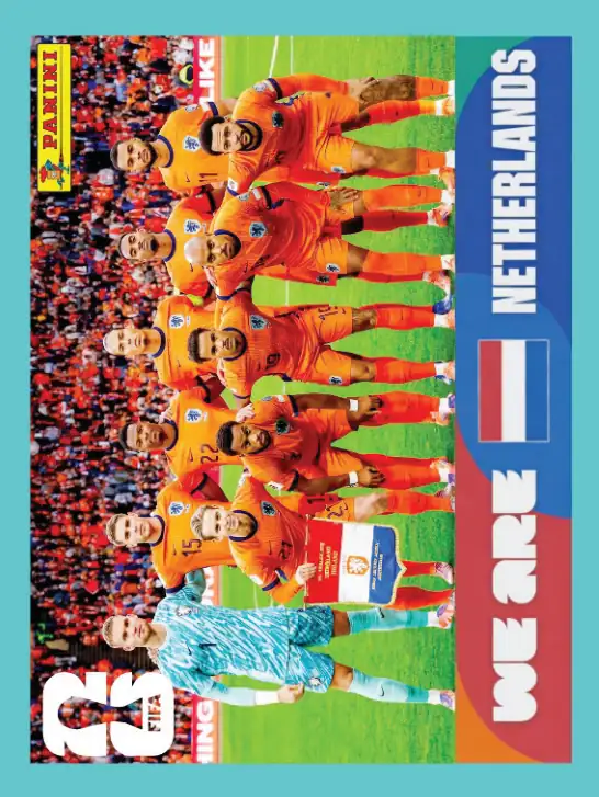 NED13 We are