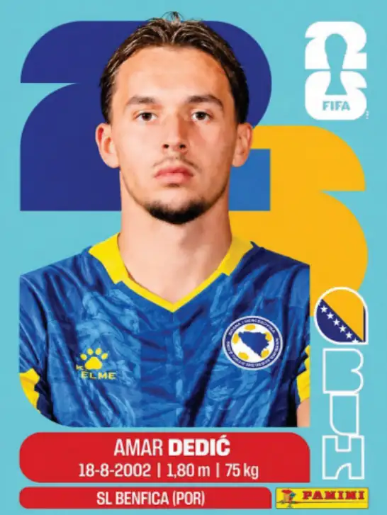 BIH3 Amer Dedic